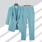 2pcs Casual Blazer Set Solid Color Lapel Single-breasted Jacket And Zipper Straight Pants Women's Office Business Suit