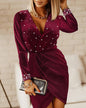 Women's Beaded Embellished V-neck Velvet Dress